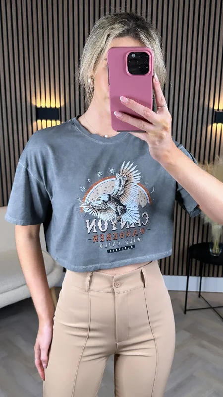 Claudie Grey Graphic Printed Crop T Shirt